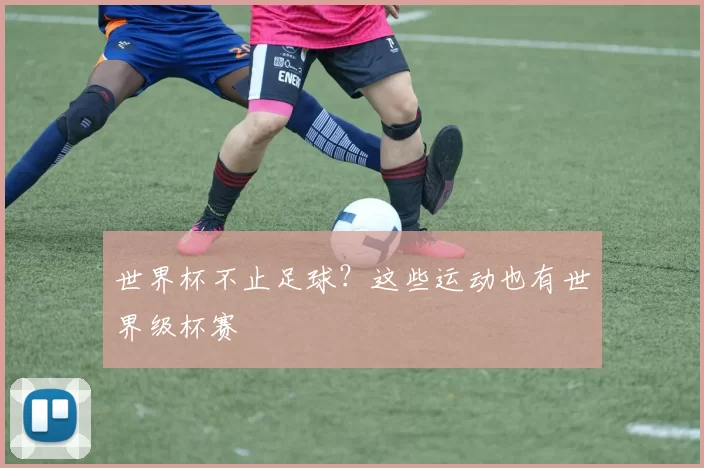 世界杯不止足球?这些运动也有世界级杯赛