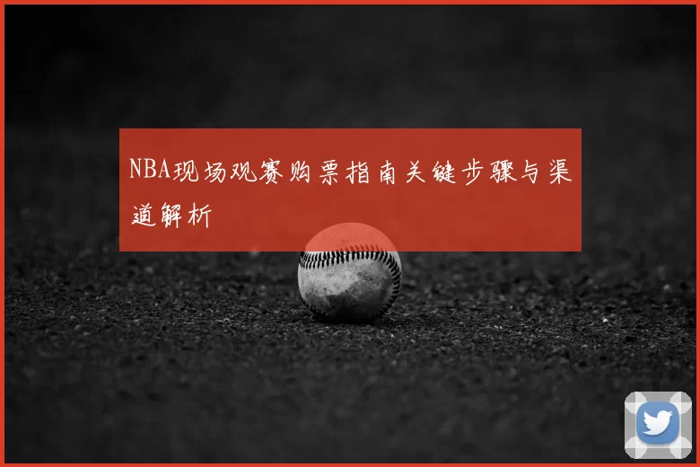 NBA现场观赛购票指南关键步骤与渠道解析