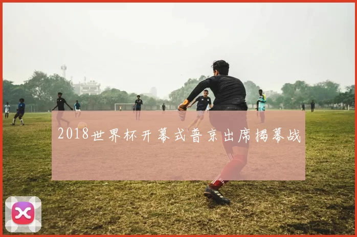 2018世界杯开幕式普京出席揭幕战