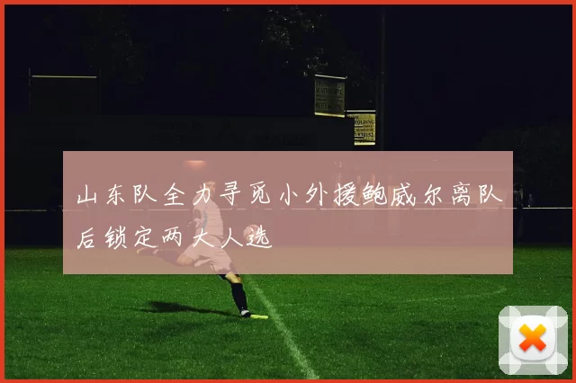 山东队全力寻觅小外援鲍威尔离队后锁定两大人选
