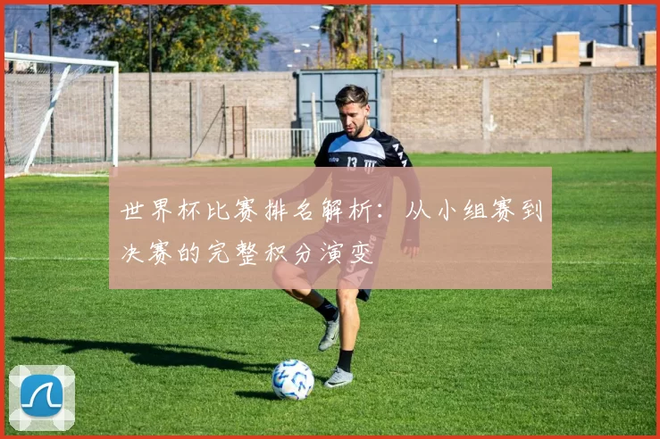 世界杯比赛排名解析:从小组赛到决赛的完整积分演变