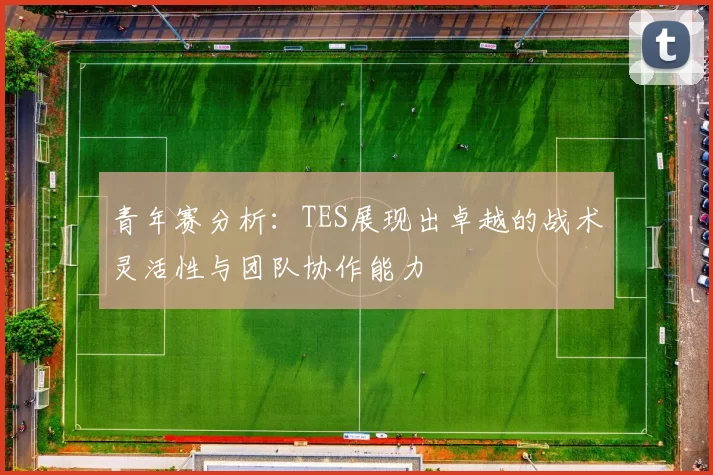 青年赛分析:TES展现出卓越的战术灵活性与团队协作能力