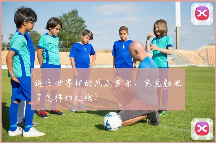 逐出世界杯的厄瓜多尔,究竟触犯了怎样的红线?